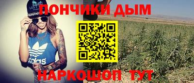 spice Коммунар