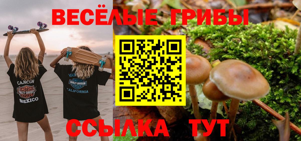 Красноуфимск  Псилоцибиновые грибы MAGIC MUSHROOMS  Галлюциногенные грибы MAGIC MUSHROOMS  Вход с VPN 